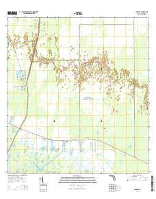 Ochopee Florida Current topographic map, 1:24000 scale, 7.5 X 7.5 Minute, Year 2015