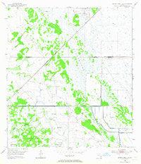 Okeechobee 4 NE Florida Historical topographic map, 1:24000 scale, 7.5 X 7.5 Minute, Year 1953