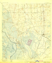 Panasoffkee Florida Historical topographic map, 1:62500 scale, 15 X 15 Minute, Year 1895