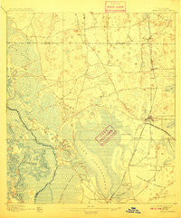 Panasoffkee Florida Historical topographic map, 1:62500 scale, 15 X 15 Minute, Year 1895