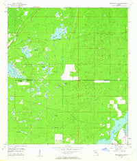 Port Richey NE Florida Historical topographic map, 1:24000 scale, 7.5 X 7.5 Minute, Year 1954