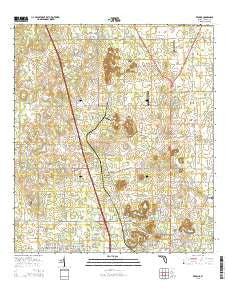 Reddick Florida Current topographic map, 1:24000 scale, 7.5 X 7.5 Minute, Year 2015
