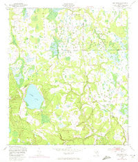 Rice Creek Florida Historical topographic map, 1:24000 scale, 7.5 X 7.5 Minute, Year 1949