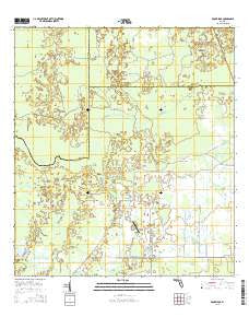 Rock Ridge Florida Current topographic map, 1:24000 scale, 7.5 X 7.5 Minute, Year 2015