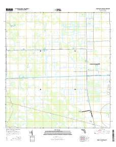 Rocky Lake Strand Florida Current topographic map, 1:24000 scale, 7.5 X 7.5 Minute, Year 2015