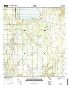 Rye Florida Current topographic map, 1:24000 scale, 7.5 X 7.5 Minute, Year 2015