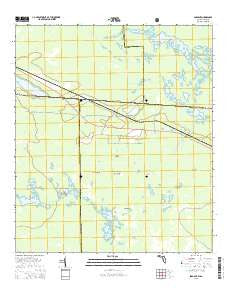 Sargent Florida Current topographic map, 1:24000 scale, 7.5 X 7.5 Minute, Year 2015