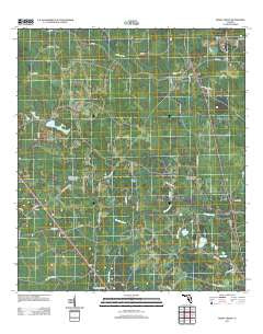 Shady Grove Florida Historical topographic map, 1:24000 scale, 7.5 X 7.5 Minute, Year 2012