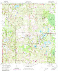 Sorrento Florida Historical topographic map, 1:24000 scale, 7.5 X 7.5 Minute, Year 1960