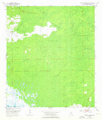 Steinhatchee SE Florida Historical topographic map, 1:24000 scale, 7.5 X 7.5 Minute, Year 1954