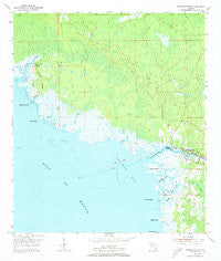 Steinhatchee Florida Historical topographic map, 1:24000 scale, 7.5 X 7.5 Minute, Year 1954