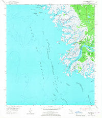 Suwannee Florida Historical topographic map, 1:24000 scale, 7.5 X 7.5 Minute, Year 1954