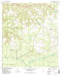 Sycamore Florida Historical topographic map, 1:24000 scale, 7.5 X 7.5 Minute, Year 1994
