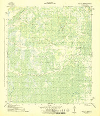 Tates Hell Swamp Florida Historical topographic map, 1:31680 scale, 7.5 X 7.5 Minute, Year 1945