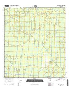 Tates Hell Swamp Florida Current topographic map, 1:24000 scale, 7.5 X 7.5 Minute, Year 2015