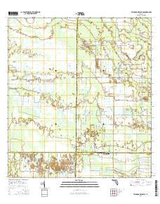 Telegraph Swamp SE Florida Current topographic map, 1:24000 scale, 7.5 X 7.5 Minute, Year 2015