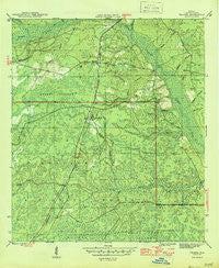 Telogia Florida Historical topographic map, 1:31680 scale, 7.5 X 7.5 Minute, Year 1946