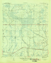 Tenmile Swamp Florida Historical topographic map, 1:31680 scale, 7.5 X 7.5 Minute, Year 1945