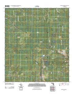 Tenmile Swamp Florida Historical topographic map, 1:24000 scale, 7.5 X 7.5 Minute, Year 2012