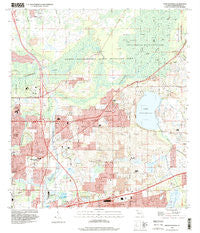 Thonotosassa Florida Historical topographic map, 1:24000 scale, 7.5 X 7.5 Minute, Year 1995