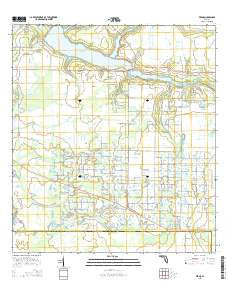 Verna Florida Current topographic map, 1:24000 scale, 7.5 X 7.5 Minute, Year 2015