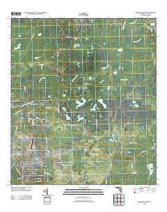 Warrior Swamp Florida Historical topographic map, 1:24000 scale, 7.5 X 7.5 Minute, Year 2012