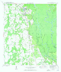 Wewahitchka Florida Historical topographic map, 1:24000 scale, 7.5 X 7.5 Minute, Year 1945