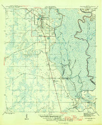 Wewahitchka Florida Historical topographic map, 1:31680 scale, 7.5 X 7.5 Minute, Year 1945