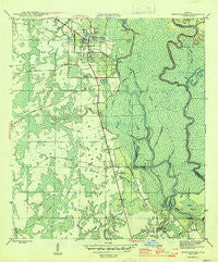 Wewahitchka Florida Historical topographic map, 1:31680 scale, 7.5 X 7.5 Minute, Year 1945