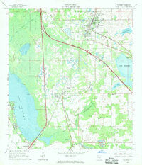 Wildwood Florida Historical topographic map, 1:24000 scale, 7.5 X 7.5 Minute, Year 1967