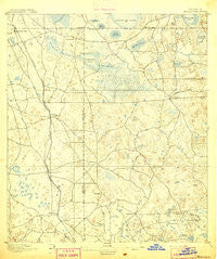 Williston Florida Historical topographic map, 1:62500 scale, 15 X 15 Minute, Year 1895