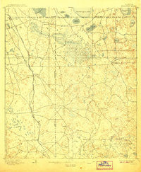 Williston Florida Historical topographic map, 1:62500 scale, 15 X 15 Minute, Year 1895