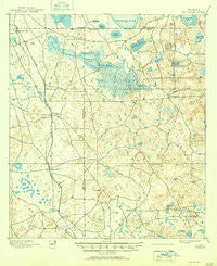 Williston Florida Historical topographic map, 1:62500 scale, 15 X 15 Minute, Year 1895