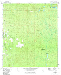 Woodville Florida Historical topographic map, 1:24000 scale, 7.5 X 7.5 Minute, Year 1981