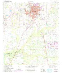 Zephyrhills Florida Historical topographic map, 1:24000 scale, 7.5 X 7.5 Minute, Year 1975