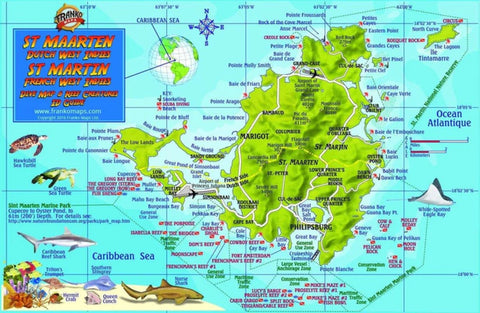Buy map Caribbean Fish Card - St. Martin 2018