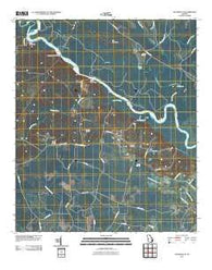 Altamaha SE Georgia Historical topographic map, 1:24000 scale, 7.5 X 7.5 Minute, Year 2011
