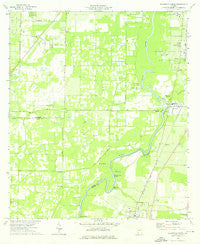 Baconton North Georgia Historical topographic map, 1:24000 scale, 7.5 X 7.5 Minute, Year 1974