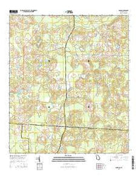Baden Georgia Current topographic map, 1:24000 scale, 7.5 X 7.5 Minute, Year 2014