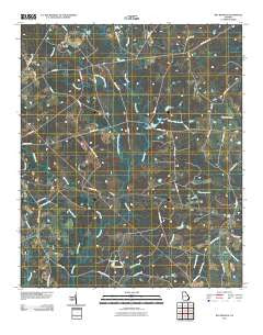 Bay Branch Georgia Historical topographic map, 1:24000 scale, 7.5 X 7.5 Minute, Year 2011