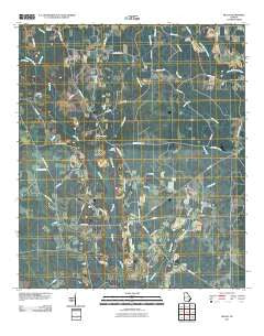 Beach Georgia Historical topographic map, 1:24000 scale, 7.5 X 7.5 Minute, Year 2011