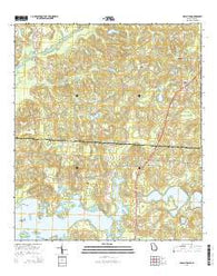 Beachton Georgia Current topographic map, 1:24000 scale, 7.5 X 7.5 Minute, Year 2014