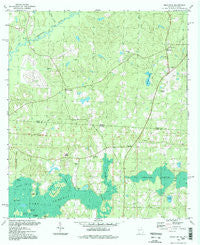 Beachton Georgia Historical topographic map, 1:24000 scale, 7.5 X 7.5 Minute, Year 1994