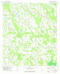 Berlin West Georgia Historical topographic map, 1:24000 scale, 7.5 X 7.5 Minute, Year 1978