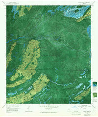 Billys Island Georgia Historical topographic map, 1:24000 scale, 7.5 X 7.5 Minute, Year 1966