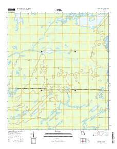 Billys Island Georgia Current topographic map, 1:24000 scale, 7.5 X 7.5 Minute, Year 2014