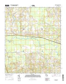 Birdsville Georgia Current topographic map, 1:24000 scale, 7.5 X 7.5 Minute, Year 2014