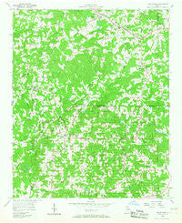 Birmingham Georgia Historical topographic map, 1:24000 scale, 7.5 X 7.5 Minute, Year 1956