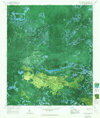 Blackjack Island Georgia Historical topographic map, 1:24000 scale, 7.5 X 7.5 Minute, Year 1965