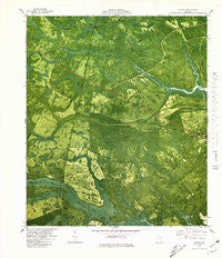 Bladen Georgia Historical topographic map, 1:24000 scale, 7.5 X 7.5 Minute, Year 1980